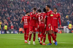 田栩宁的言论背后的深意